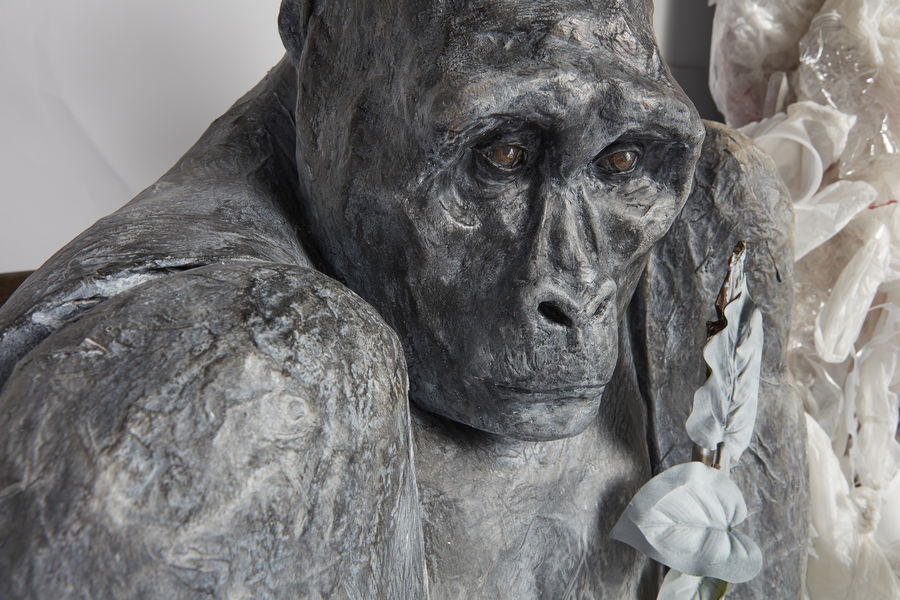 Fading Beauty (detail), 2020