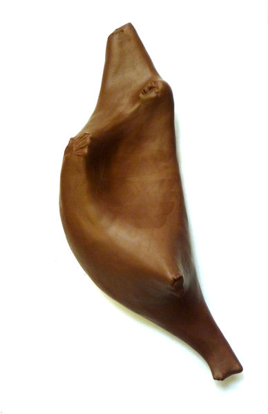 Push, 2007